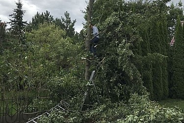 IMG_3154