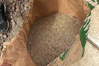 Посевной-газон-под-ключ.1