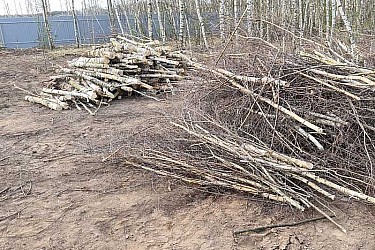 Расчистка-участка-от-деревьев-1