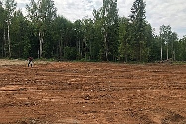 image-13-06-21-03-41-18