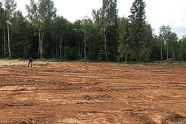 image-13-06-21-03-40-1