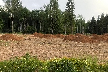 image-13-06-21-03-41-11
